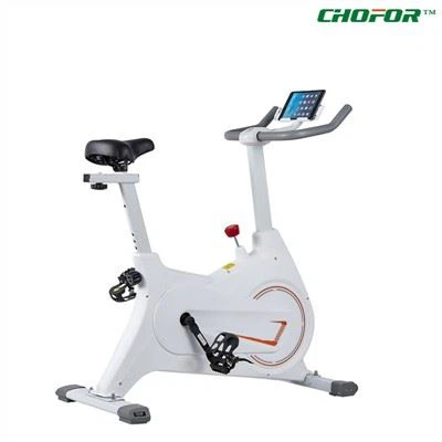 magnetic wheel spin bike